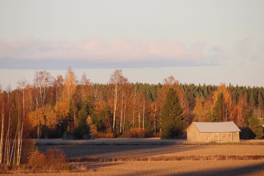 WhatsApp Image 2018-04-17 at 11.31.42