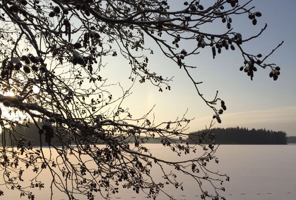 WhatsApp Image 2018-05-01 at 22.02.24