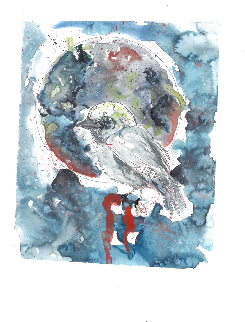 netta kuvitus amazon